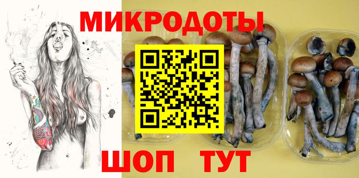 Похвистнево  Галлюциногенные грибы ЛСД  Вход с VPN 