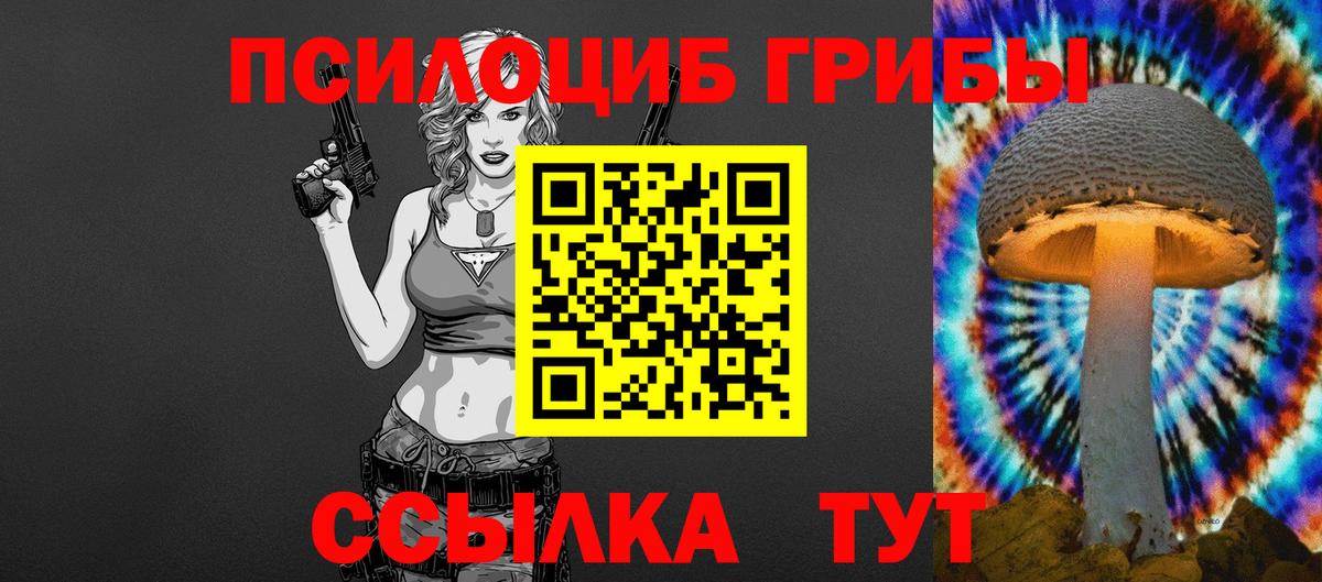 Псилоцибиновые грибы мицелий Похвистнево